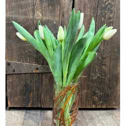 Tulips & Twigs