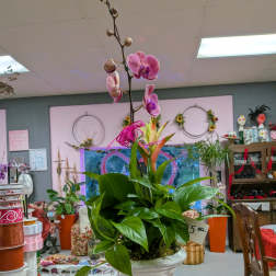Greens and orchids