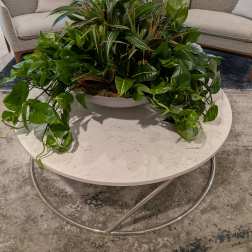 Plants in display