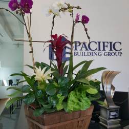 Interior landscape design
