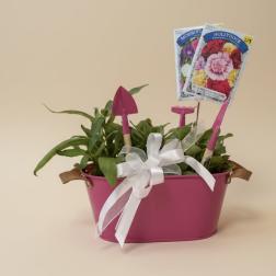 Colorful Tin Planter