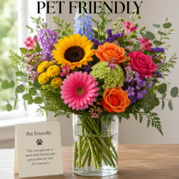 Designer's Choice- PET FRIENDLY