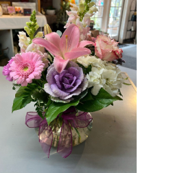 Kale Garden