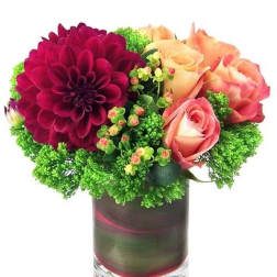 Brighten Up Your Day