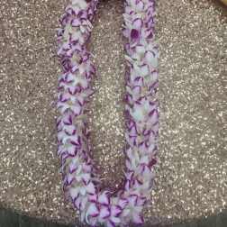 Hawaiian Lei - Flower lei - Fresh White and Purple Orchid Lei -