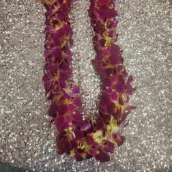 Hawaiian Lei - Flower lei - Fresh Orange Orchid Lei -