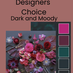 Designers Choice