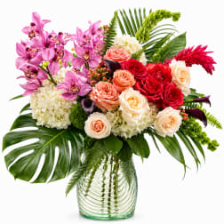 Orchid Oasis (V Signature™)