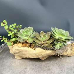 The Driftwood Zen Garden
