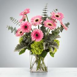 Pink gerbera daisies and green hydrangeas in a clear glass vase