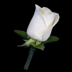 Boutonniere