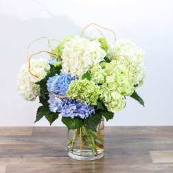 Blue, white, and green hydrangeas in a clear glass vase