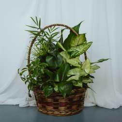 Basket Garden 10in