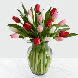 Bouquet of red, pink, and white tulips in a clear glass vase