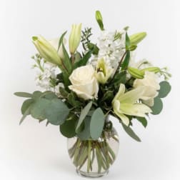 Elegant Ivory