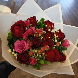 Bouquet of red and pink roses wrapped in white paper