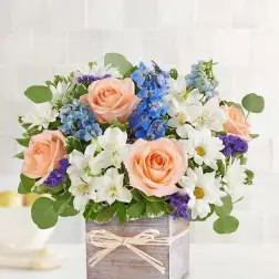 Peach roses and white daisies in a wooden box with blue flowers
