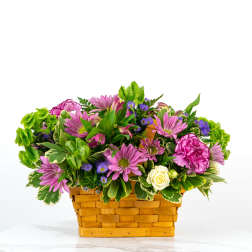 Low basket of pink daisies, purple blooms, green bells of Ireland and a white rose