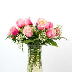Our Rose Collection: A Dozen Romantic Roses