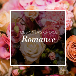 Designers Choice Romance
