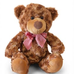 Brown teddy bear with a pink checkered bow