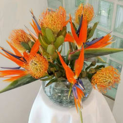 Orange and blue bird-of-paradise flowers in a glass vase