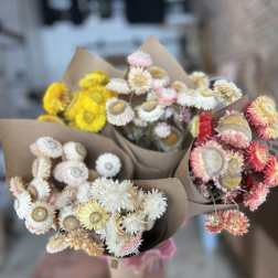 Bouquets of dried strawflowers wrapped in brown paper