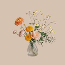 Honey & Chamomile Mini