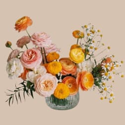 Honey & Chamomile Deluxe
