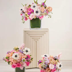 Three pastel floral arrangements in square glass vases
