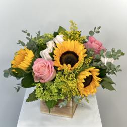 Sweet Sunflowers