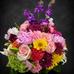 Diva’s Delight