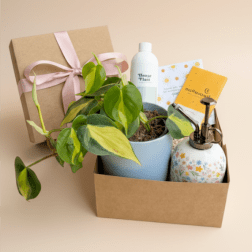 Gift box with a potted plant, spray bottle, and gardening items