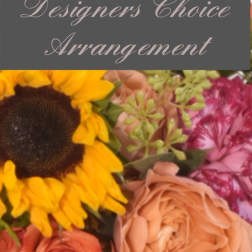 Small Designers Choice Arrangement