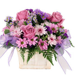 Pink roses and daisies in a cream container with purple ribbon