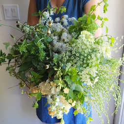 Timeless Garden ( Gardener's Choice )