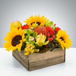 Sunflower and tropical flower arrangement in a wooden box