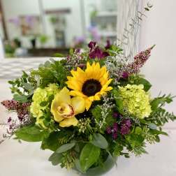 Happy Daze