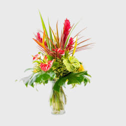 Lanikai Special