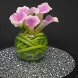 Lavender Infused Callas