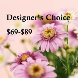 Designer's Choice $69- $89