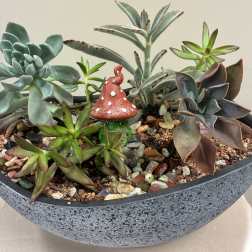 Succulent arrangement in a shallow gray bowl with a small red mushroom ornament