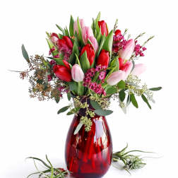 Pink and red tulips arranged in a red glass vase