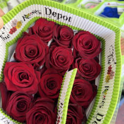 20 RED ROSES PACK