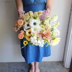 Pastel Garden - ( Gardener's Choice)