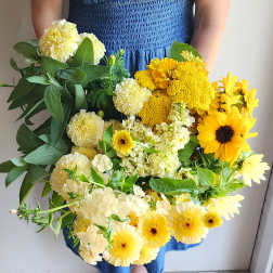 Sunny Delight ( Gardener's Choice)