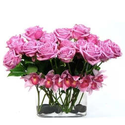 Pink Passion