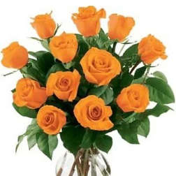 Dozen Orange Roses