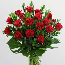 Classic 18 Roses