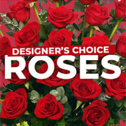 Red roses with greenery and a "Designer’s Choice Roses" label